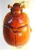 Bolbaffroides validus